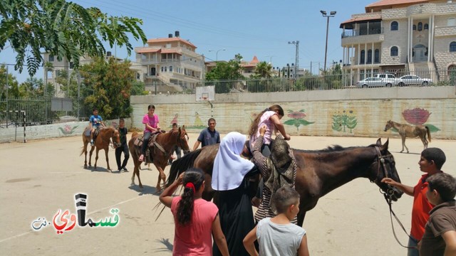 كفرقاسم - فيديو  : تعليم هواية ركوب الخيل في مدرسة جنة ابن رشد في اليوم الرابع لصيف الصادقة 